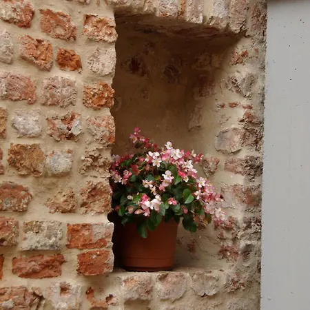 بيت ضيافة Tampere Maja 3*