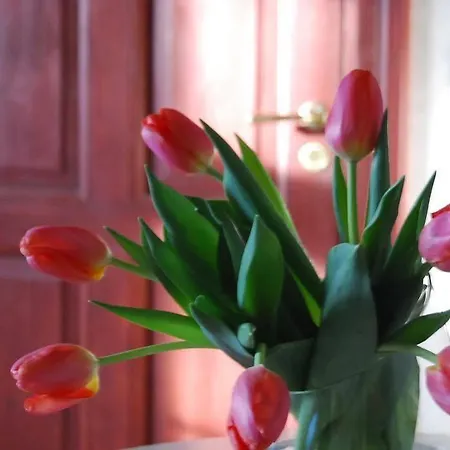 Pensjonat Tampere Maja 3*