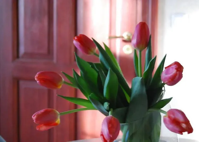 Gæstehus Tampere Maja 3*